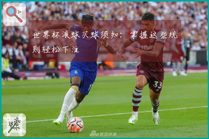 世界杯滚球买球须知：掌握这些规则轻松下注