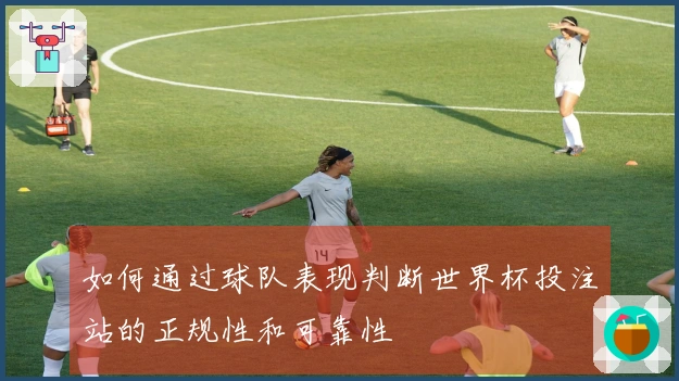 如何通过球队表现判断世界杯投注站的正规性和可靠性