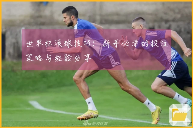世界杯滚球技巧：新手必学的投注策略与经验分享