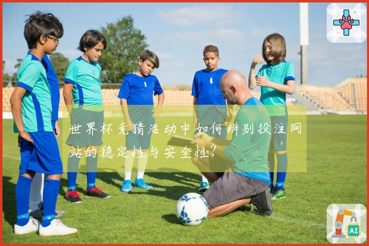 世界杯竞猜活动中如何辨别投注网站的稳定性与安全性？